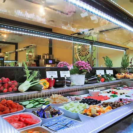 城中大酒店 美因河畔法兰克福